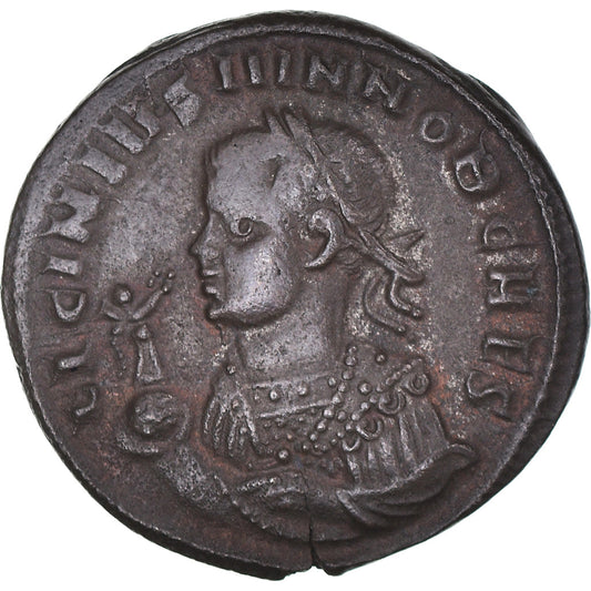 kovanec, 
  
  Licinij II., 
  
  Follis