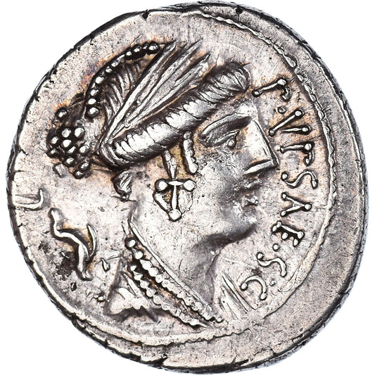 kovanec, 
  
  Plautia, 
  
  Denarius