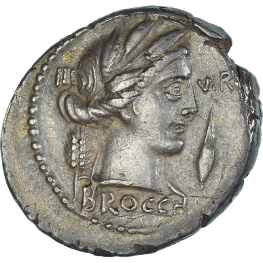 kovanec, 
  
  L. Furius Brocchus, 
  
  Denarius