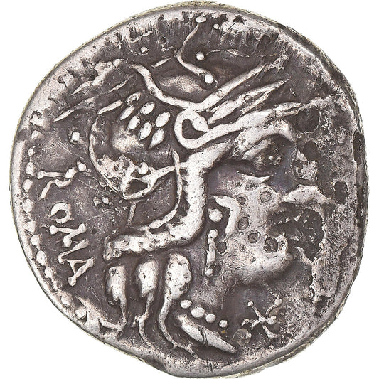 kovanec, 
  
  Calidia, 
  
  Denarius