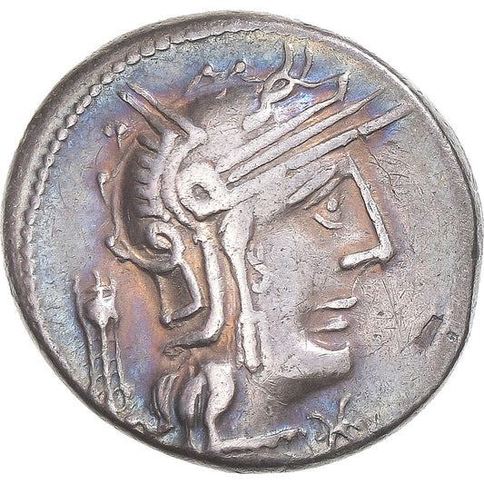 kovanec, 
  
  opimija, 
  
  Denarius