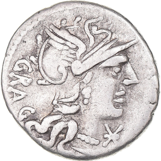 kovanec, 
  
  Antestia, 
  
  Denarius