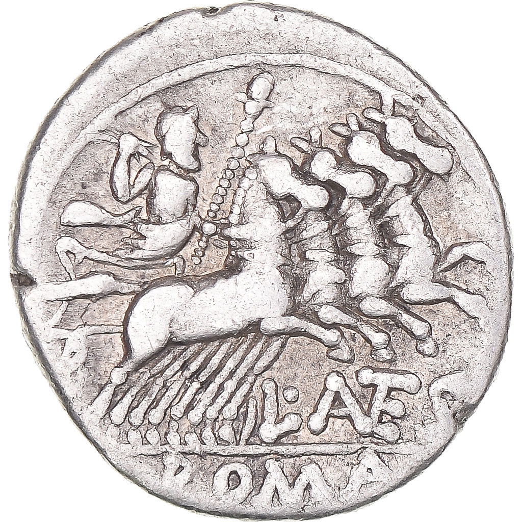 kovanec, 
  
  Antestia, 
  
  Denarius