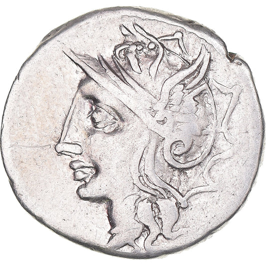 kovanec, 
  
  Appuleia, 
  
  Denarius