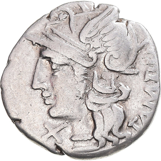 kovanec, 
  
  Baebia, 
  
  Denarius