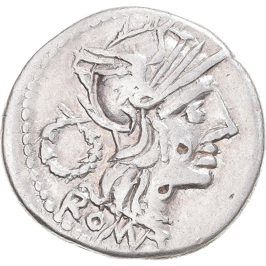 kovanec, 
  
  Cloulia, 
  
  Denarius