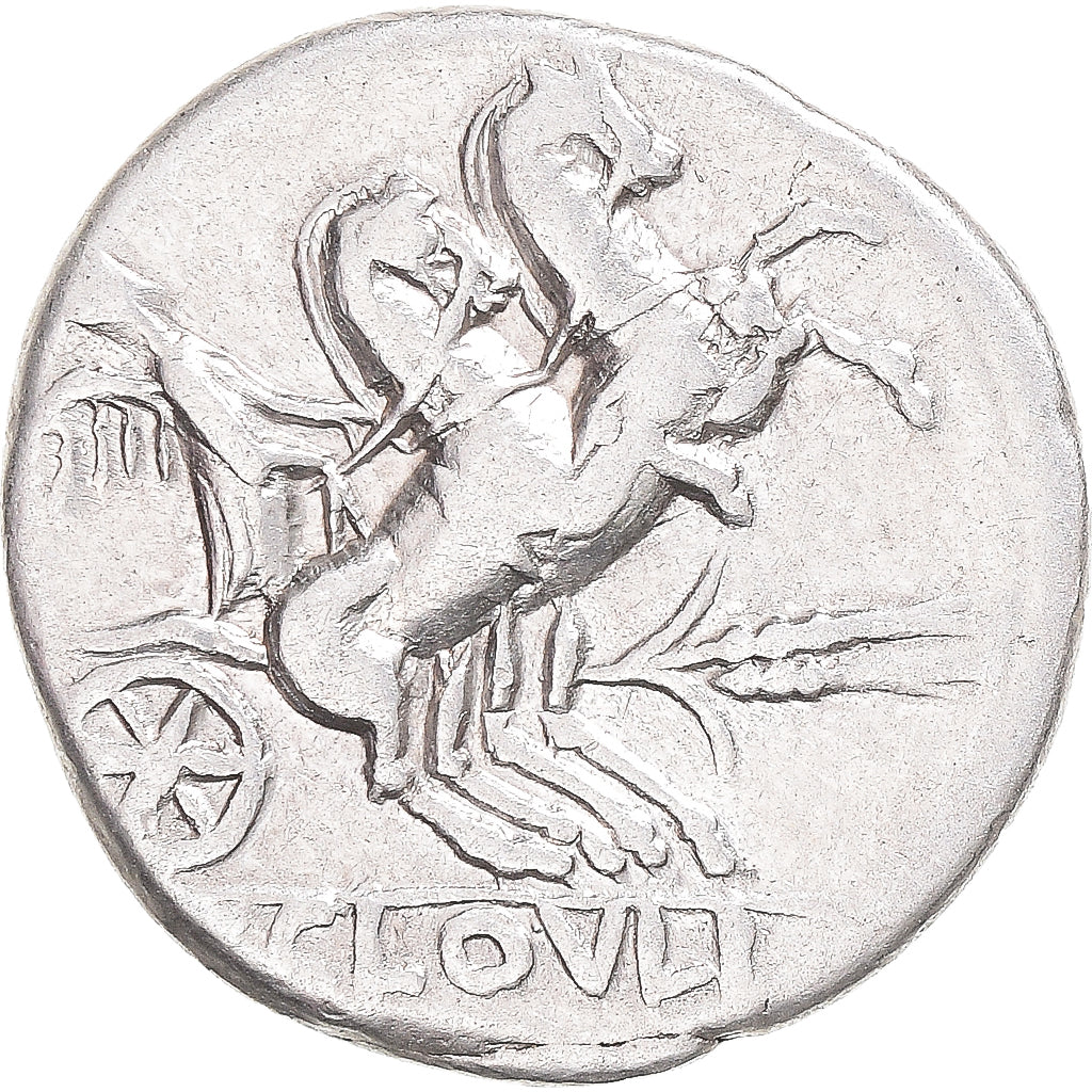 kovanec, 
  
  Cloulia, 
  
  Denarius