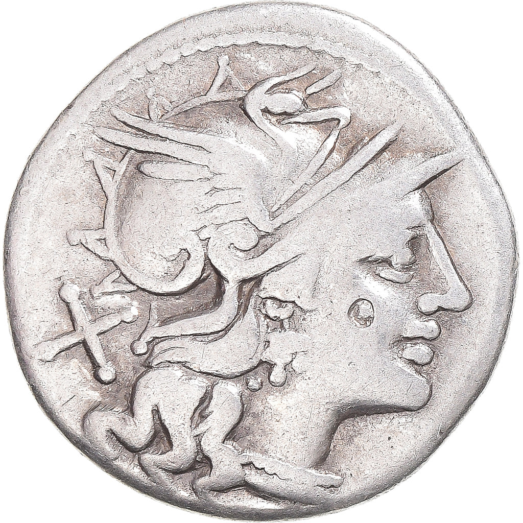 kovanec, 
  
  Safra, 
  
  Denarius