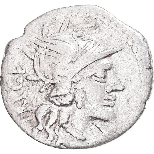 kovanec, 
  
  kurija, 
  
  Denarius