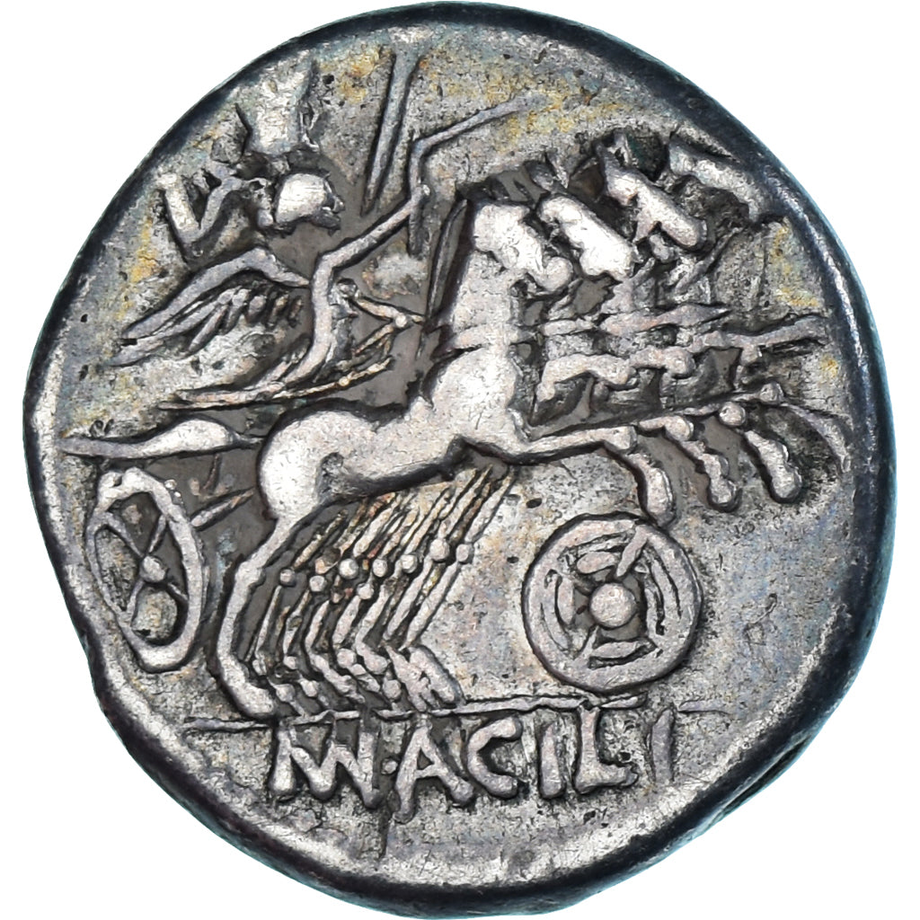 kovanec, 
  
  Acilia, 
  
  Denarius