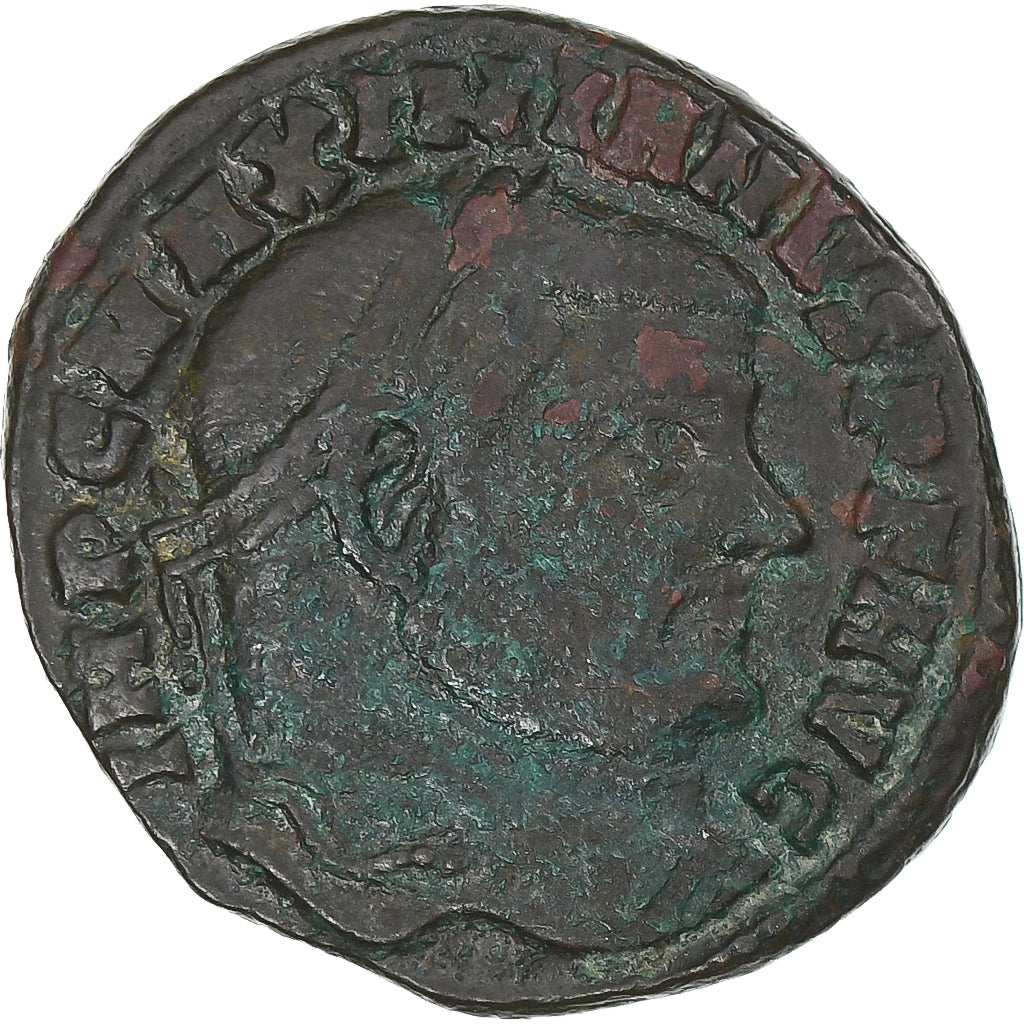 Maksimijan, 
  
  Follis, 
  
  307