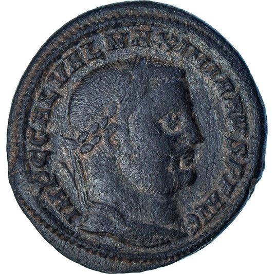 Galerij, 
  
  Follis, 
  
  304-305