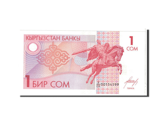 bankovec, 
  
  KIRGIZSTAN, 
  
  1 som