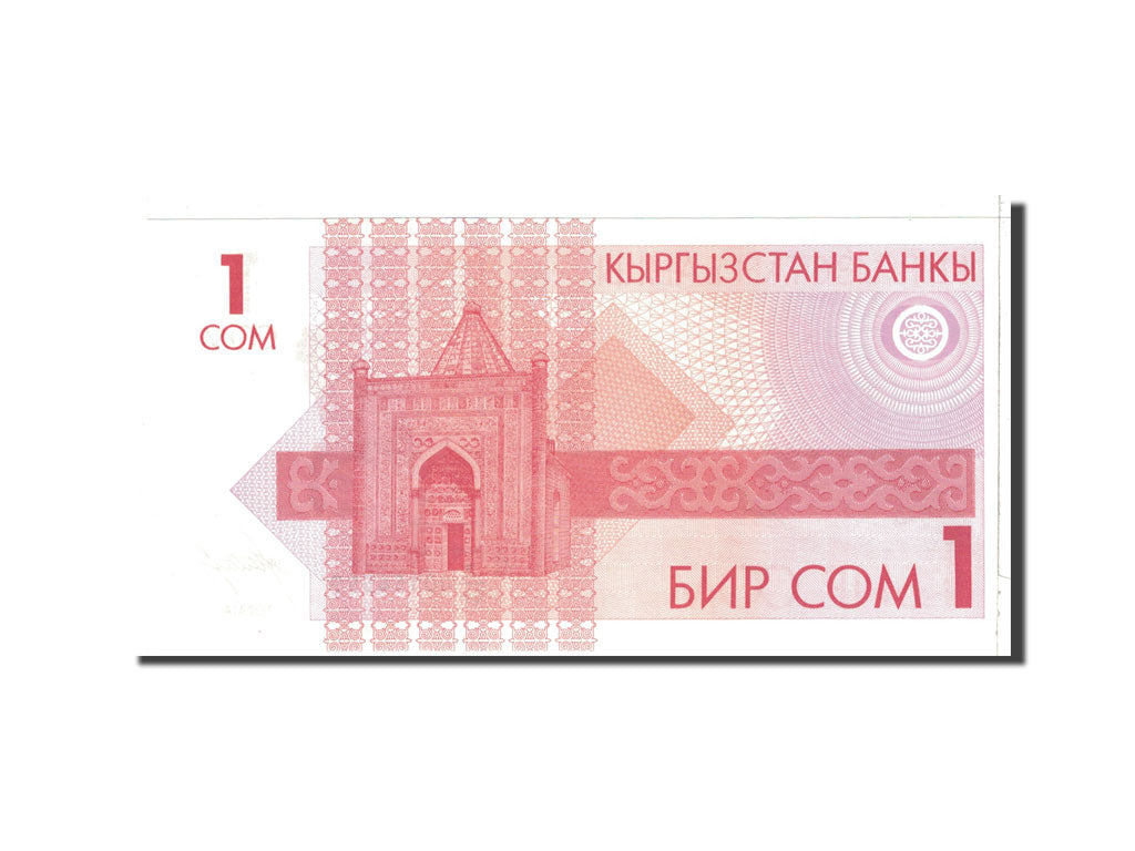 bankovec, 
  
  KIRGIZSTAN, 
  
  1 som