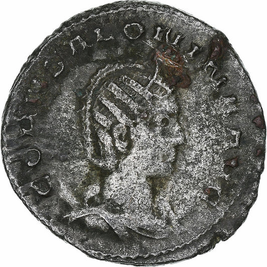 Salonina, 
  
  Antoninijan, 
  
  254-255