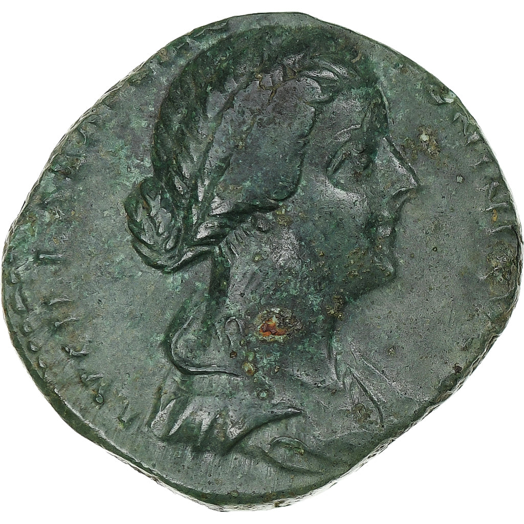 Lucilla, 
  
  kot, 
  
  164-169