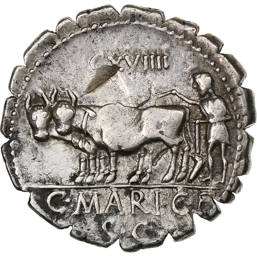 Marija, 
  
  Denarius Serratus, 
  
  81 pr. n. št