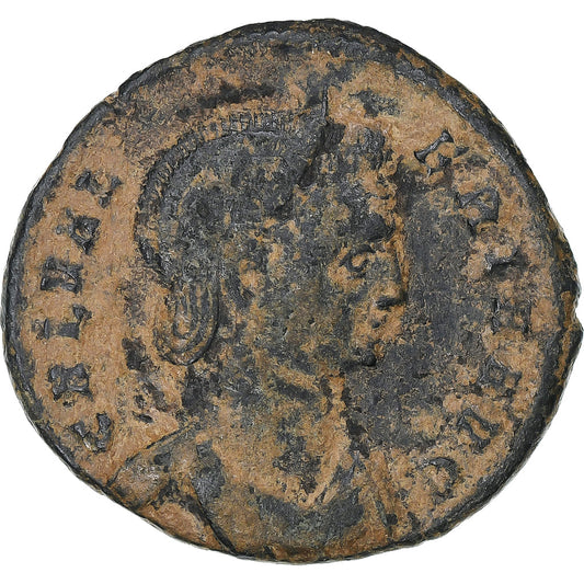 Galerija Valeria, 
  
  Follis, 
  
  310