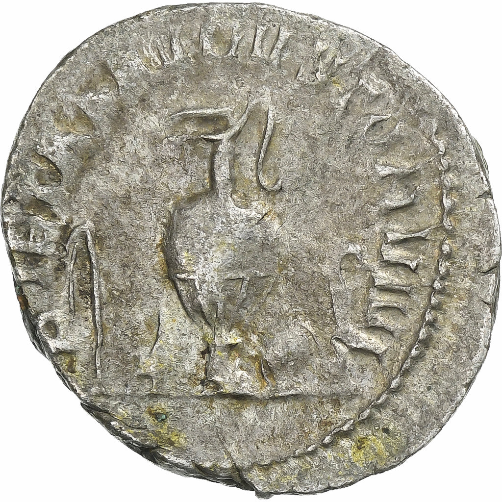 Herennius Etruscus, 
  
  Antoninijan, 
  
  250-251