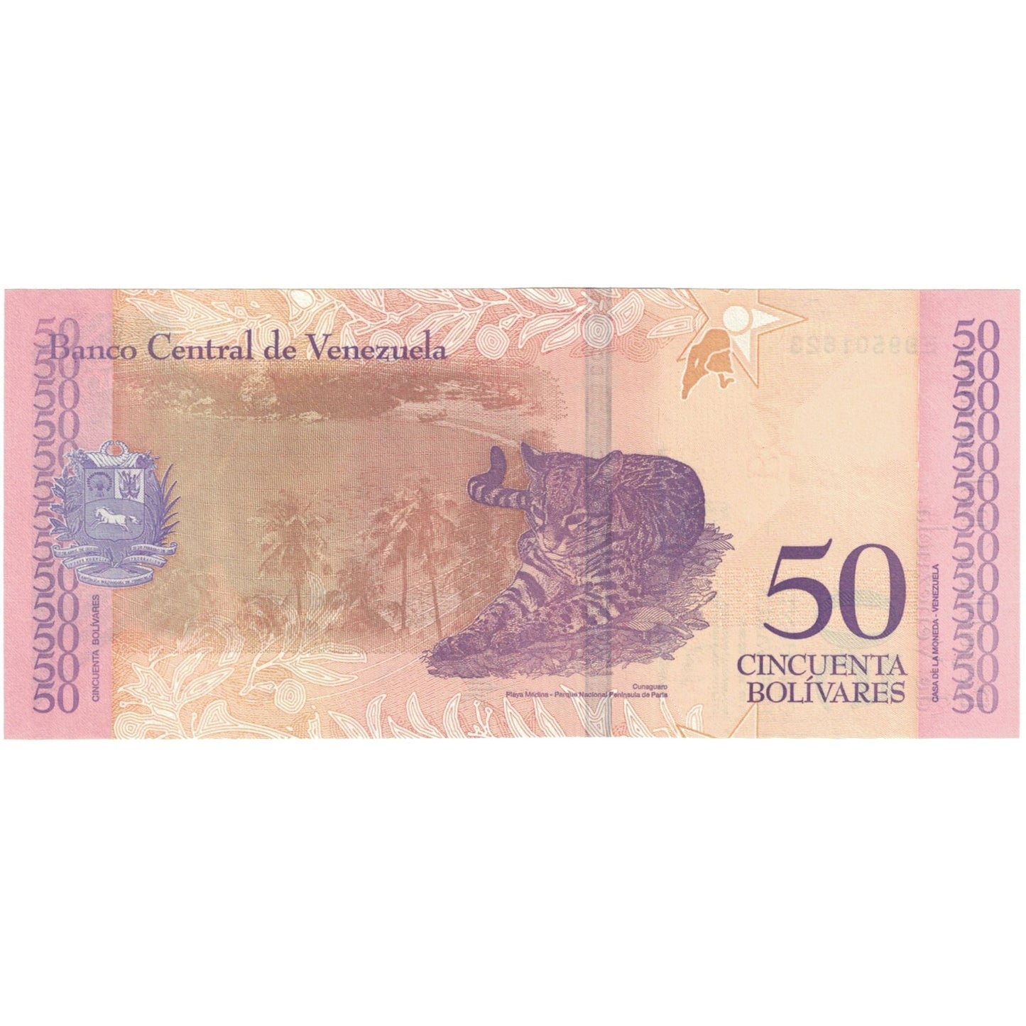 bankovec, 
  
  Venezuela, 
  
  50 bolivarjev