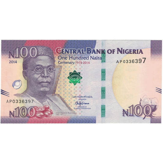 bankovec, 
  
  Nigerija, 
  
  100 Naira