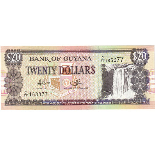 Gvajana, 
  
  20 dolarjev, 
  
  Brez datuma (1996)