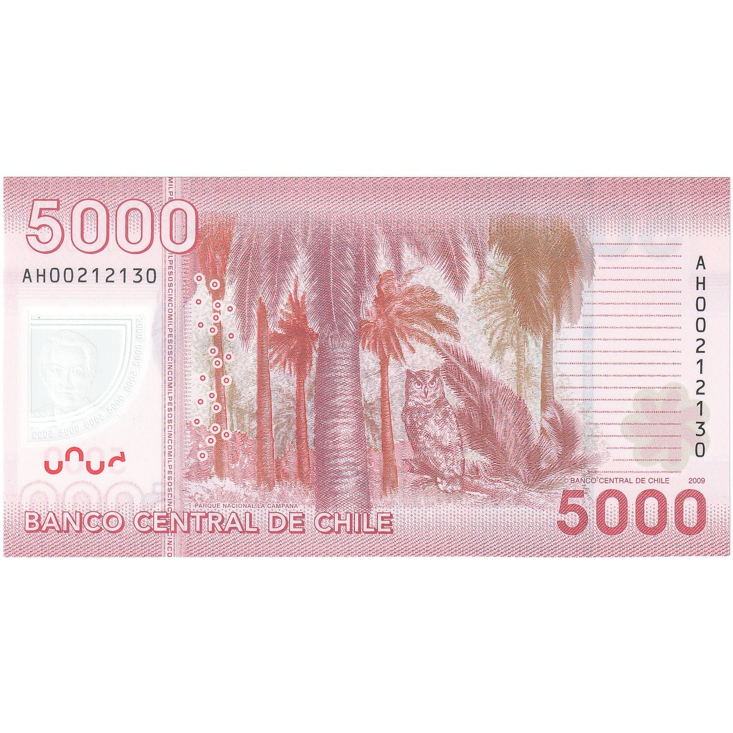 Čile, 
  
  5000 pesov, 
  
  2009