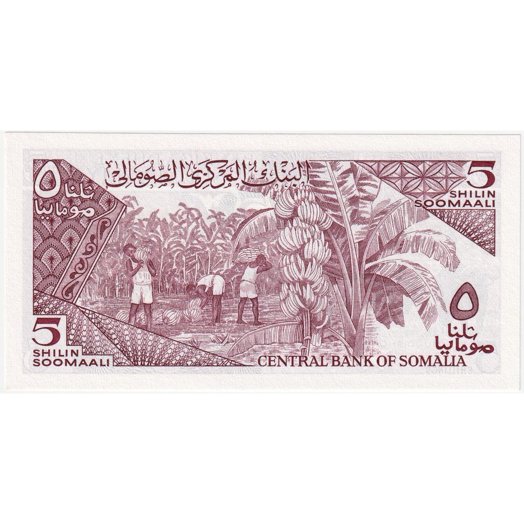 Somalija, 
  
  5 šilin = 5 šilingov, 
  
  1983