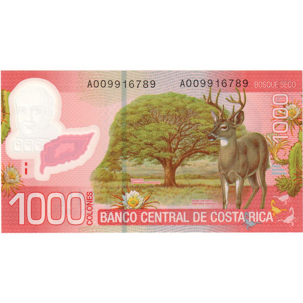 Kostarika, 
  
  1000 kolonov, 
  
  2009