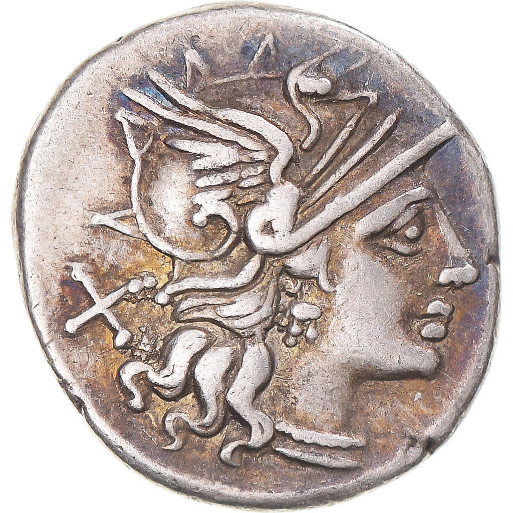 kovanec, 
  
  Afranija, 
  
  Denarius