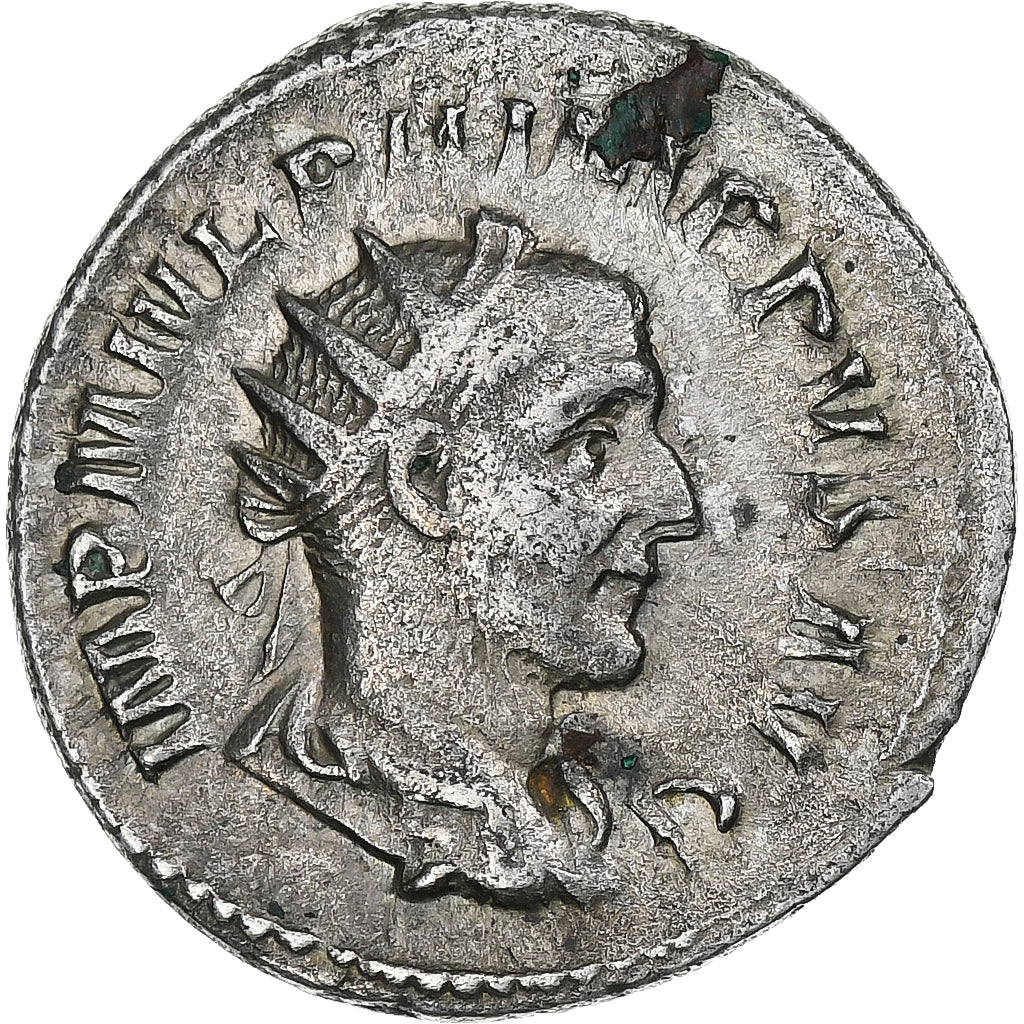 Filip I., 
  
  Antoninijan, 
  
  244