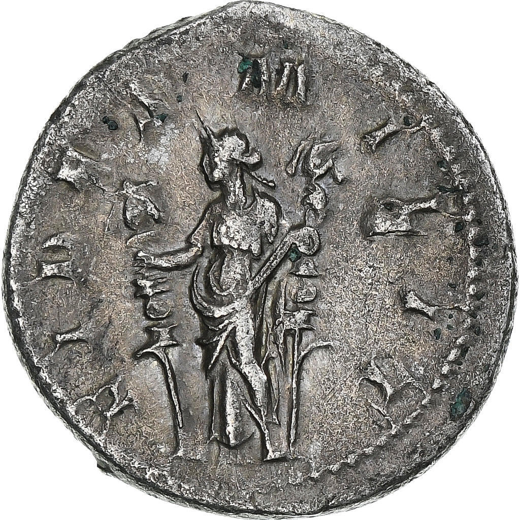 Filip I., 
  
  Antoninijan, 
  
  244