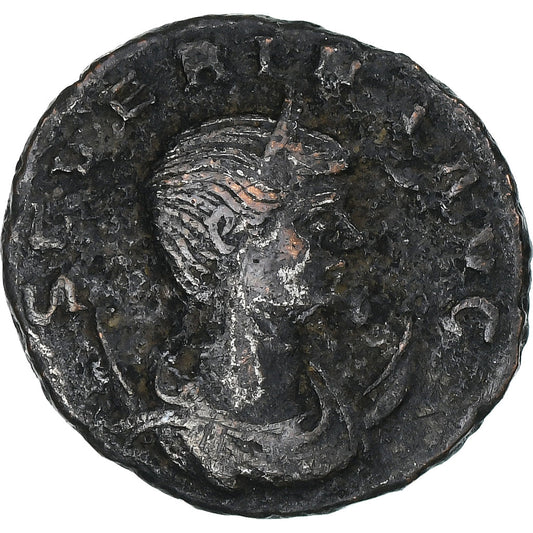 Severina, 
  
  Antoninijan, 
  
  275