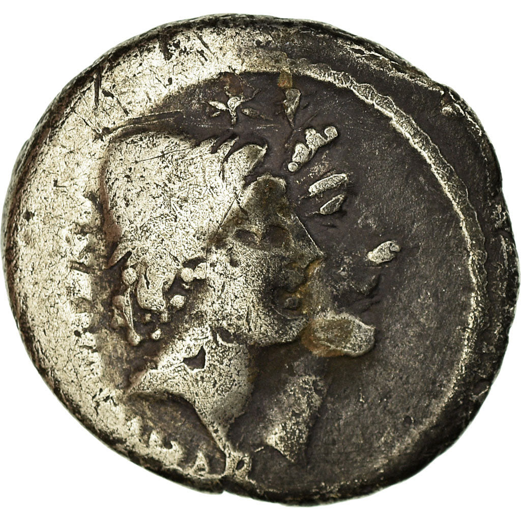 kovanec, 
  
  Cordia, 
  
  Denarius