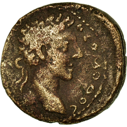 kovanec, 
  
  Cyrrhestica, 
  
  Commodus