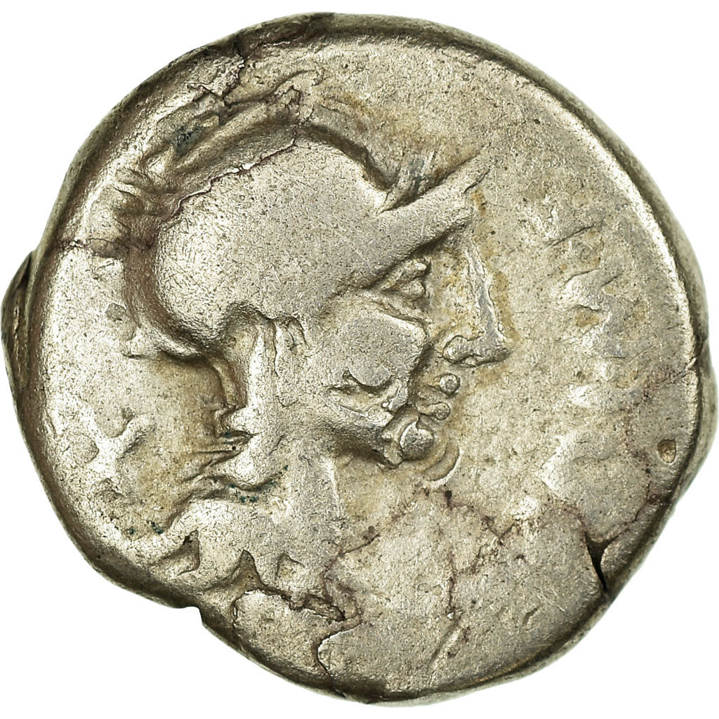 kovanec, 
  
  Cipia, 
  
  Denarius